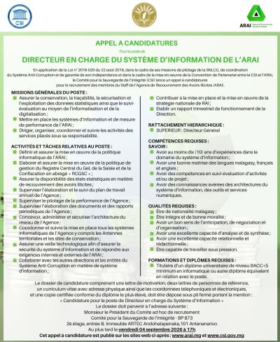 Directeur en charge du Système d’Information